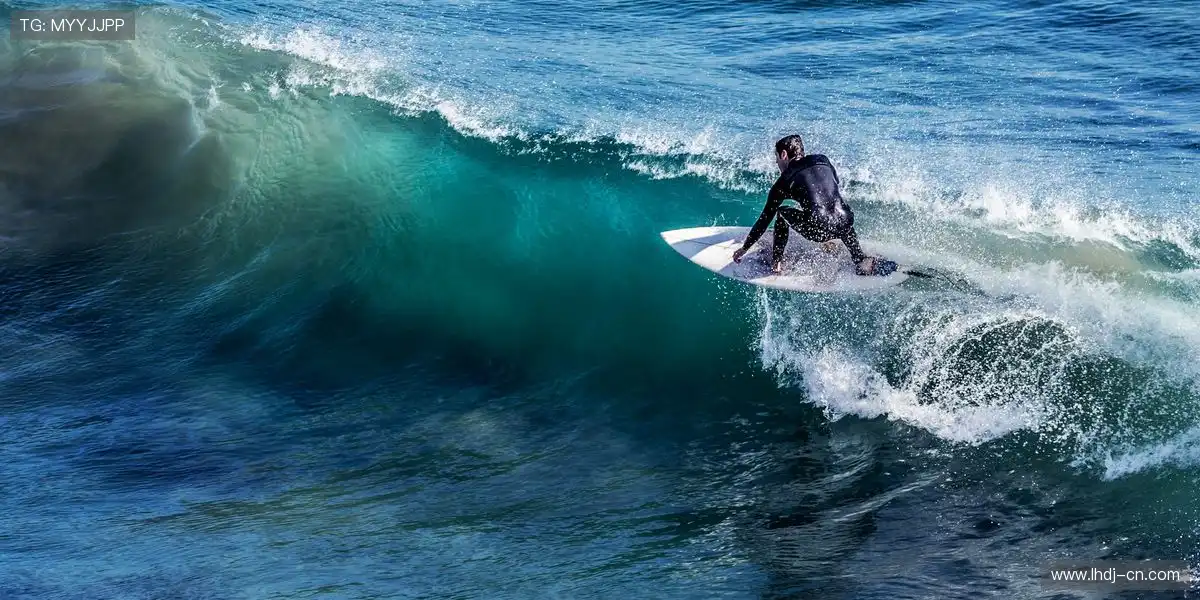 🎯 独家授权谈判,确保客户权益最大化!